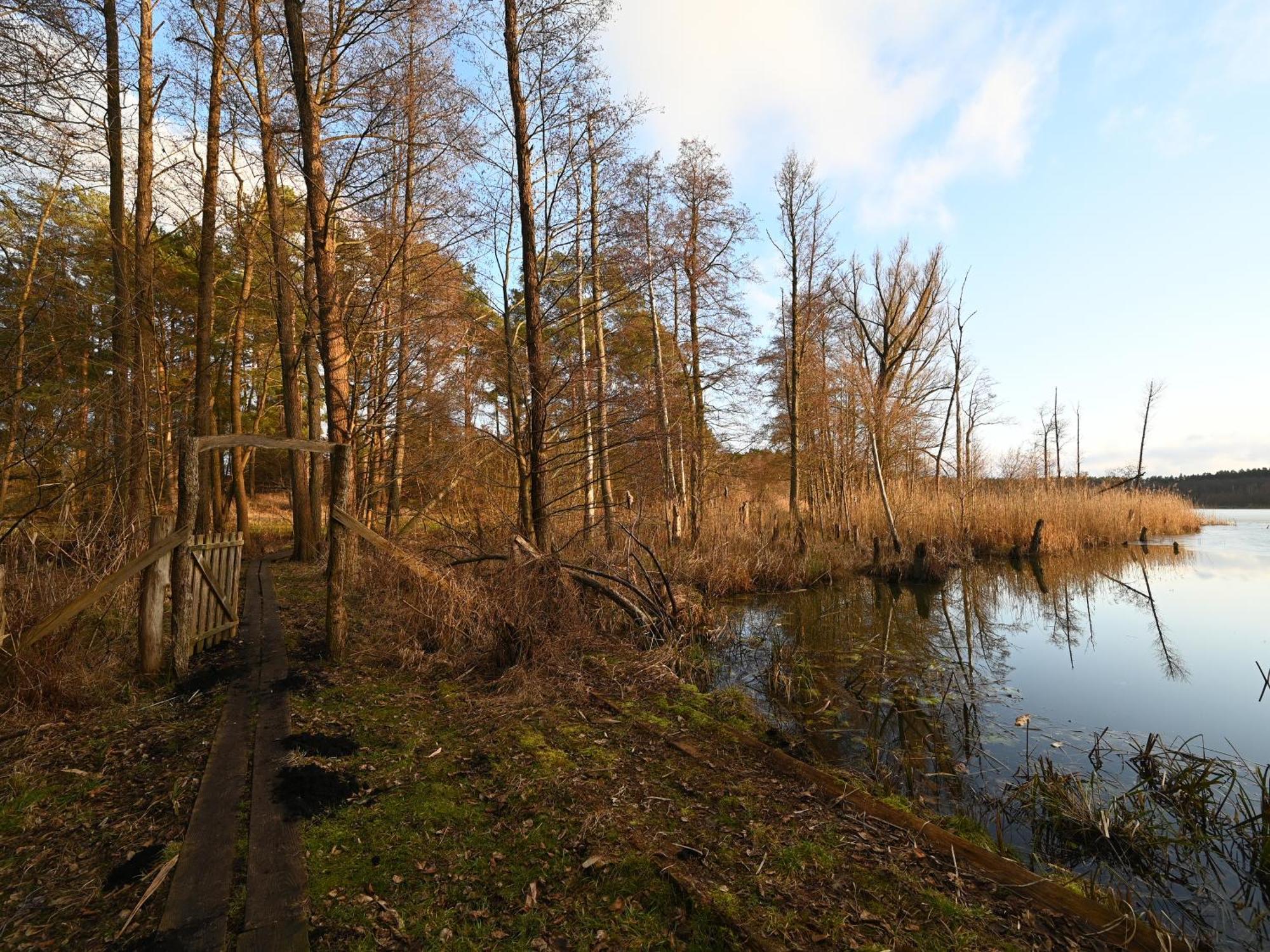 Ferienhaus-Park Brennickenswerder Lychen Exteriér fotografie