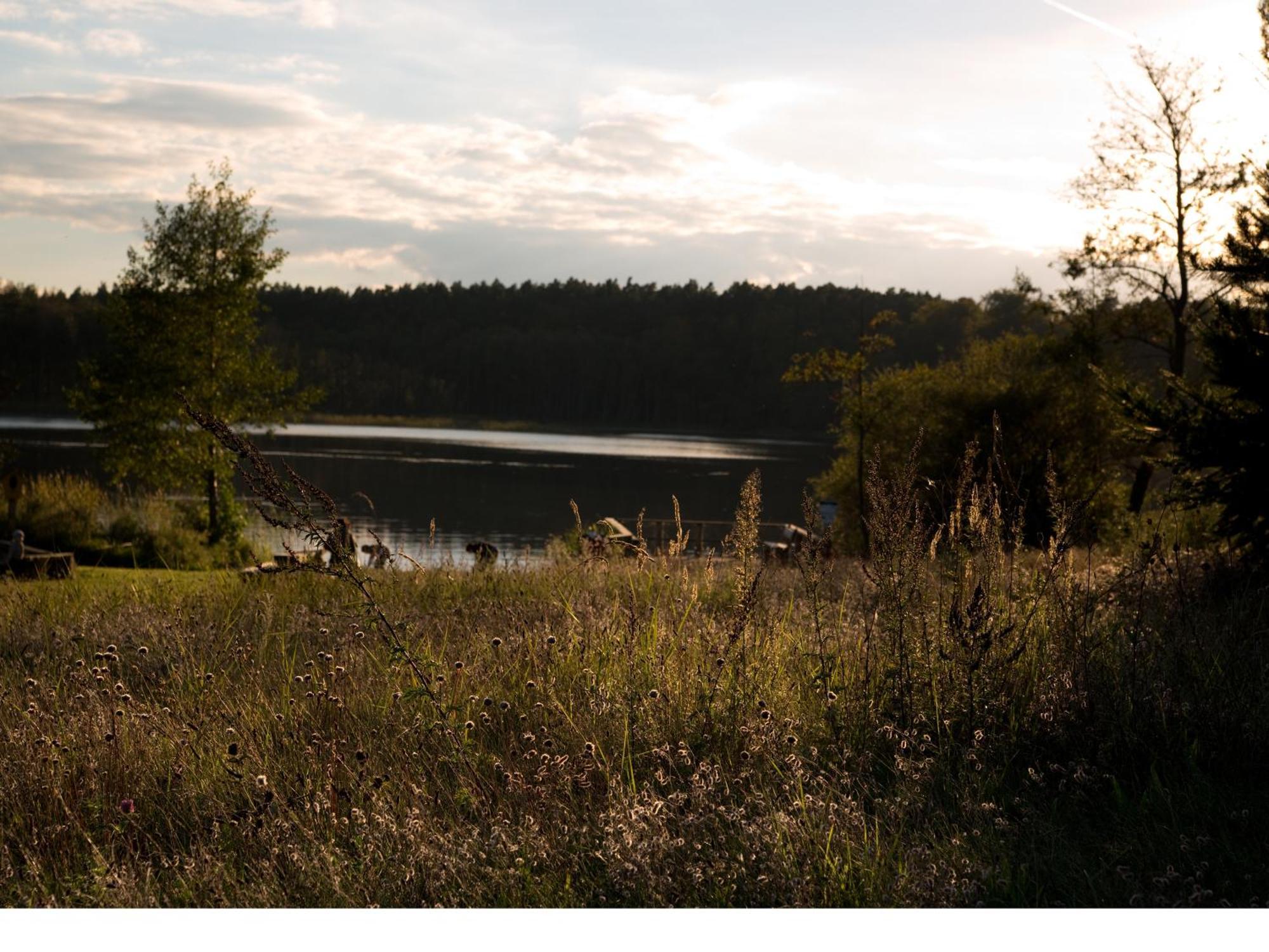 Ferienhaus-Park Brennickenswerder Lychen Exteriér fotografie