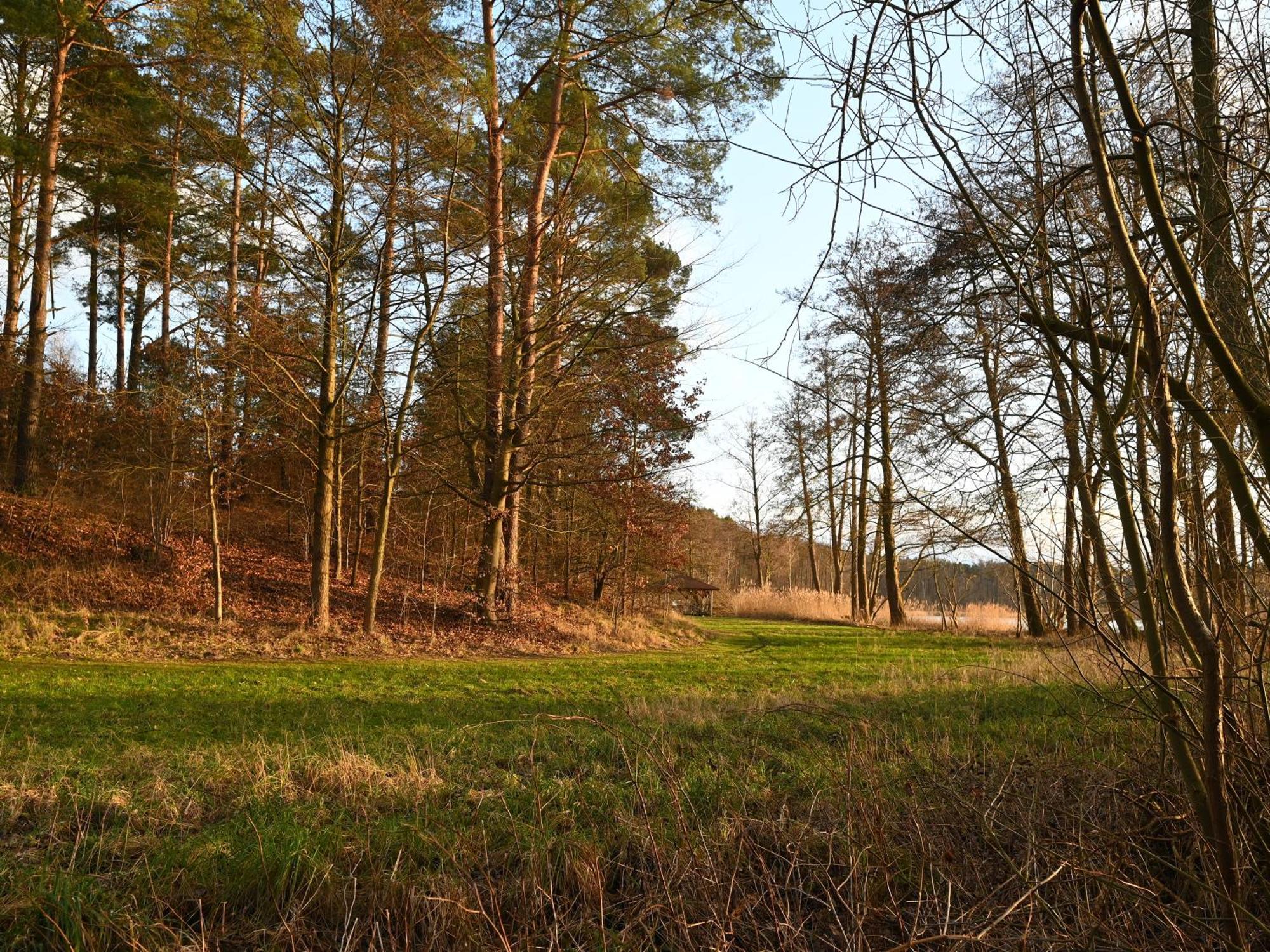 Ferienhaus-Park Brennickenswerder Lychen Exteriér fotografie